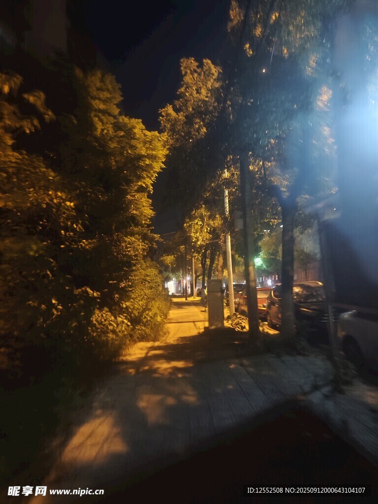 夜晚林间小道的静谧光影