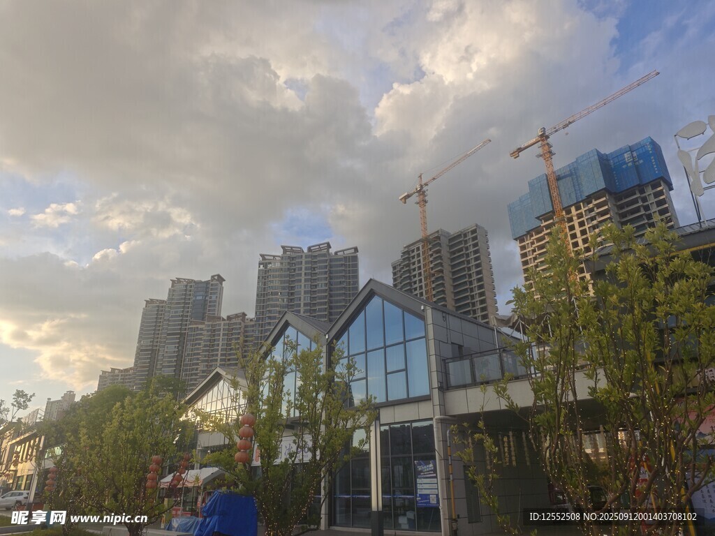城市中的现代建筑与绿植