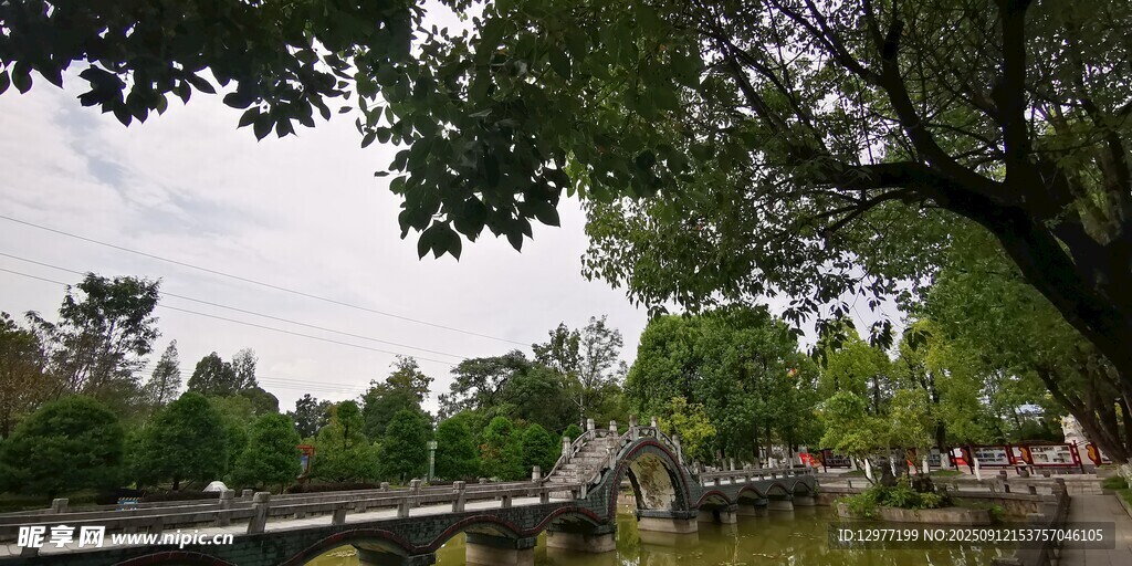 湖畔绿荫下的宁静景致