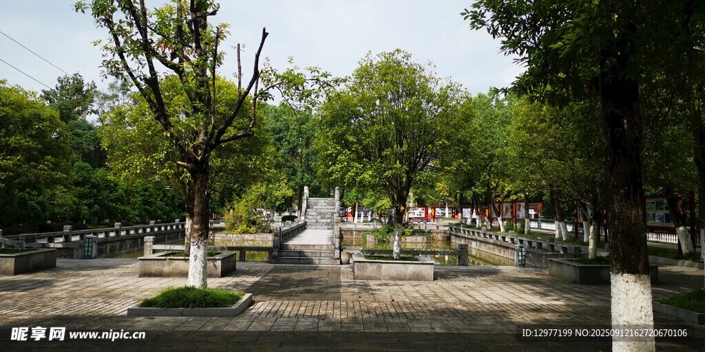 城市中的静谧林荫公园