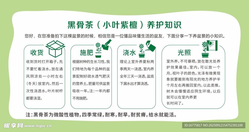 盆景养护