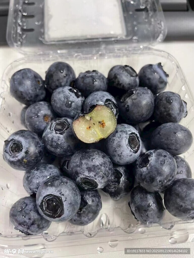 新鲜蓝莓 颗颗饱满