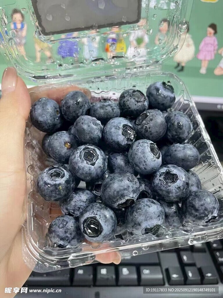 新鲜饱满的蓝莓待品尝