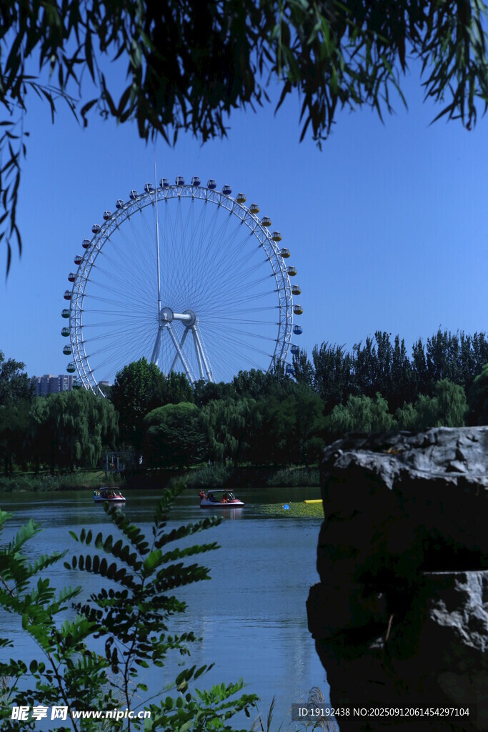 公园风景 