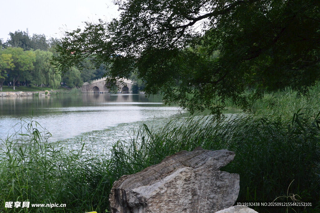 公园风景 