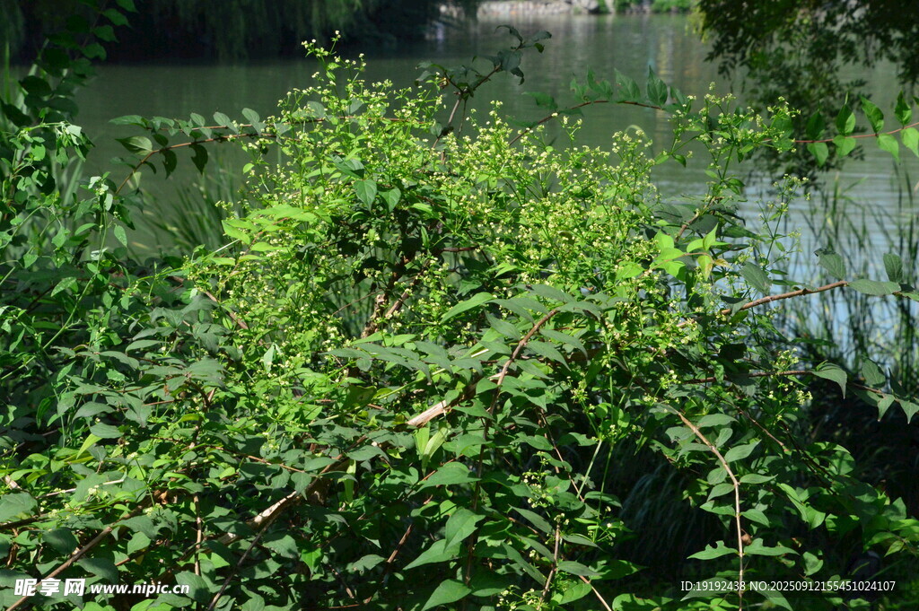 公园风景 