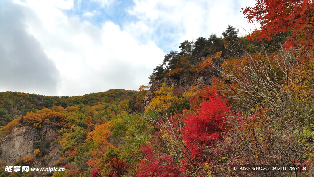 秋天山间绚烂红叶美景
