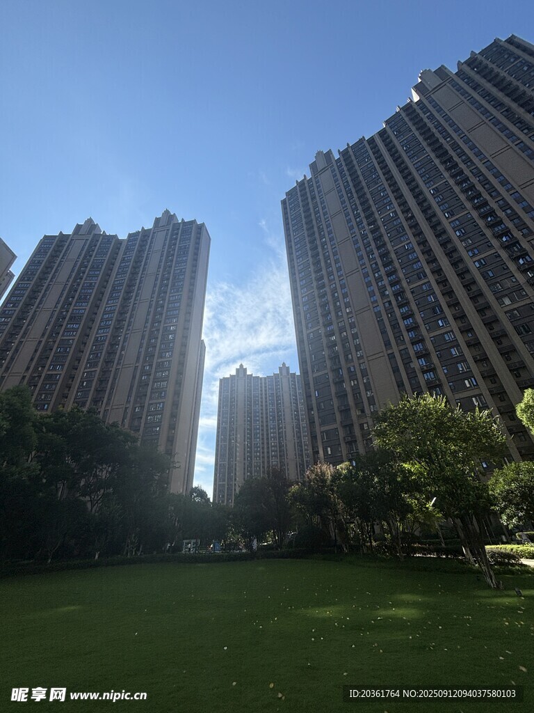 城市草坪旁的高楼景观