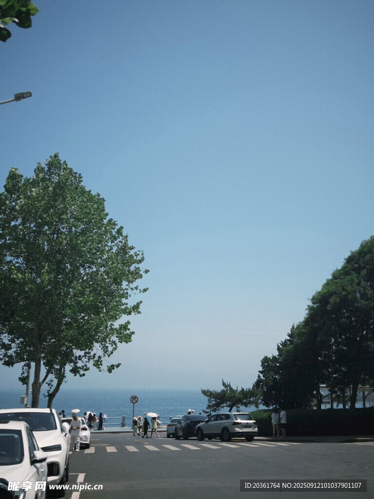 路边绿树与远处海景