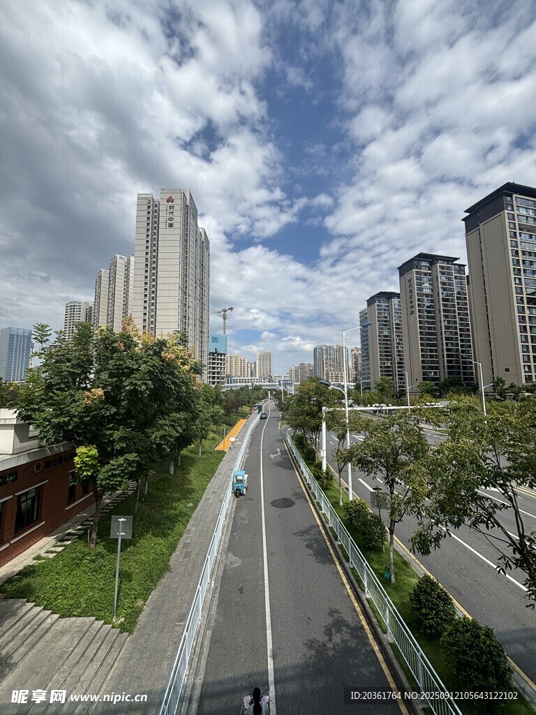 城市道路旁的高楼与绿地