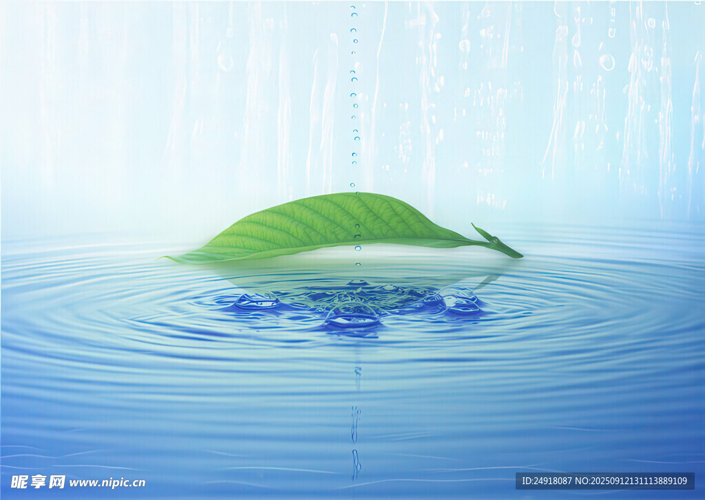 绿叶浮水 树叶 水波