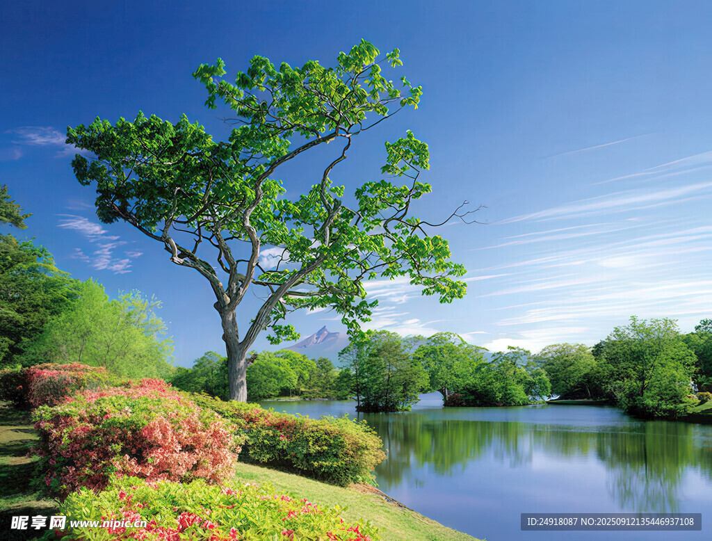 湖畔绿树风景美如画