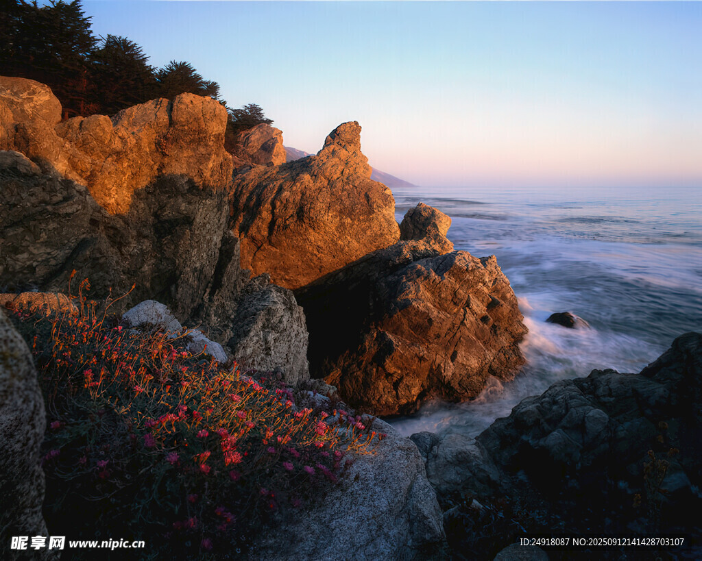 海边岩石与绚烂花丛景观