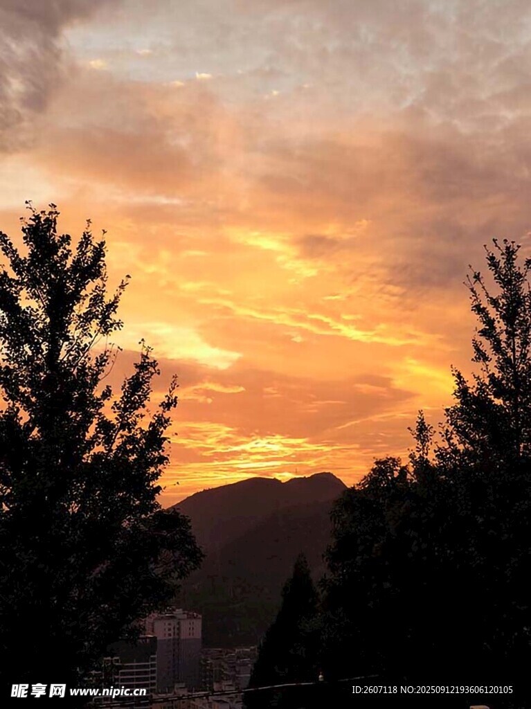  夕阳
