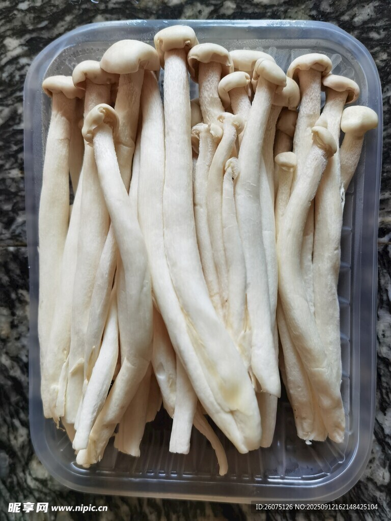 盒装新鲜白玉菇