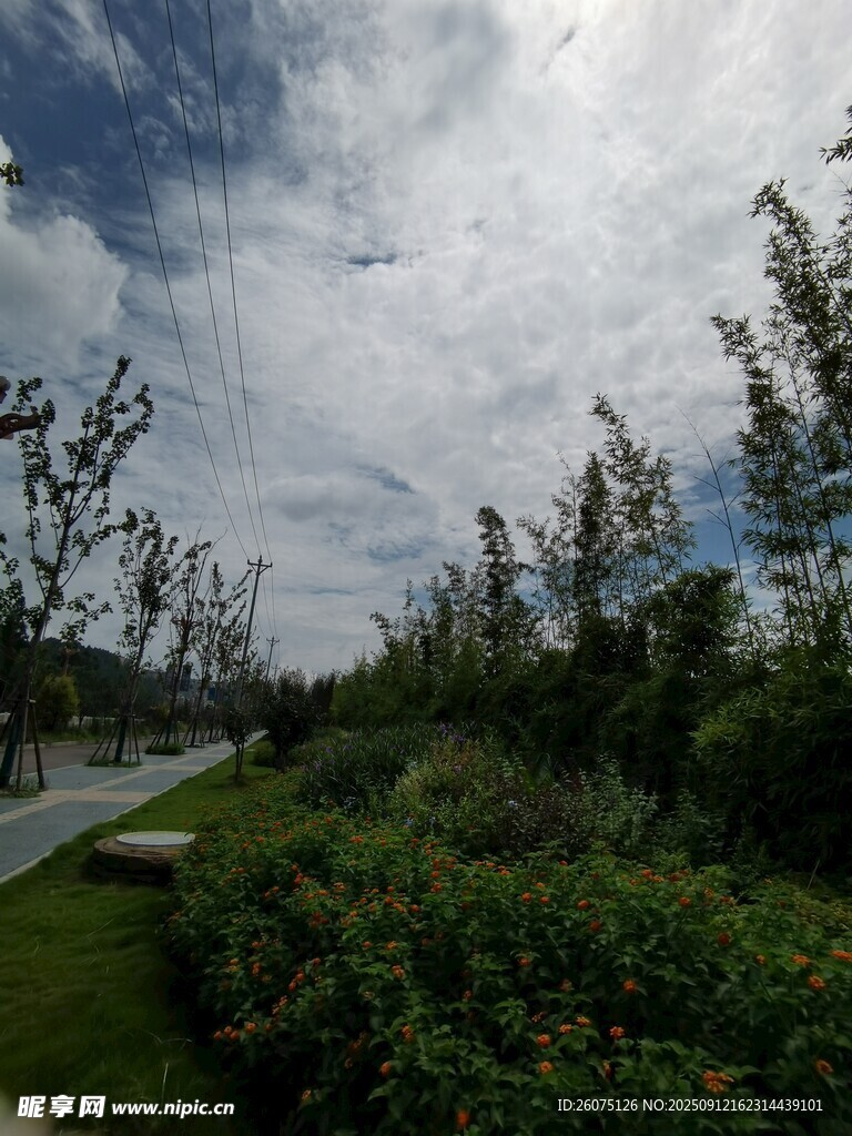 户外绿意盎然的自然景观