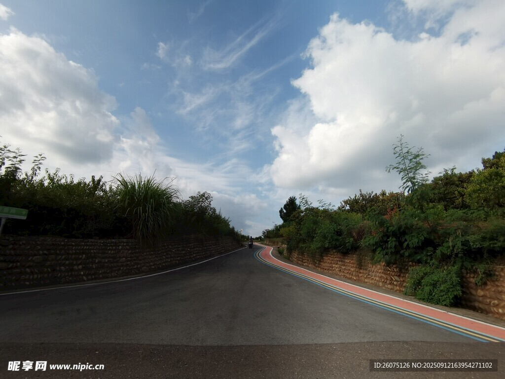 蜿蜒公路旁绿意盎然景色