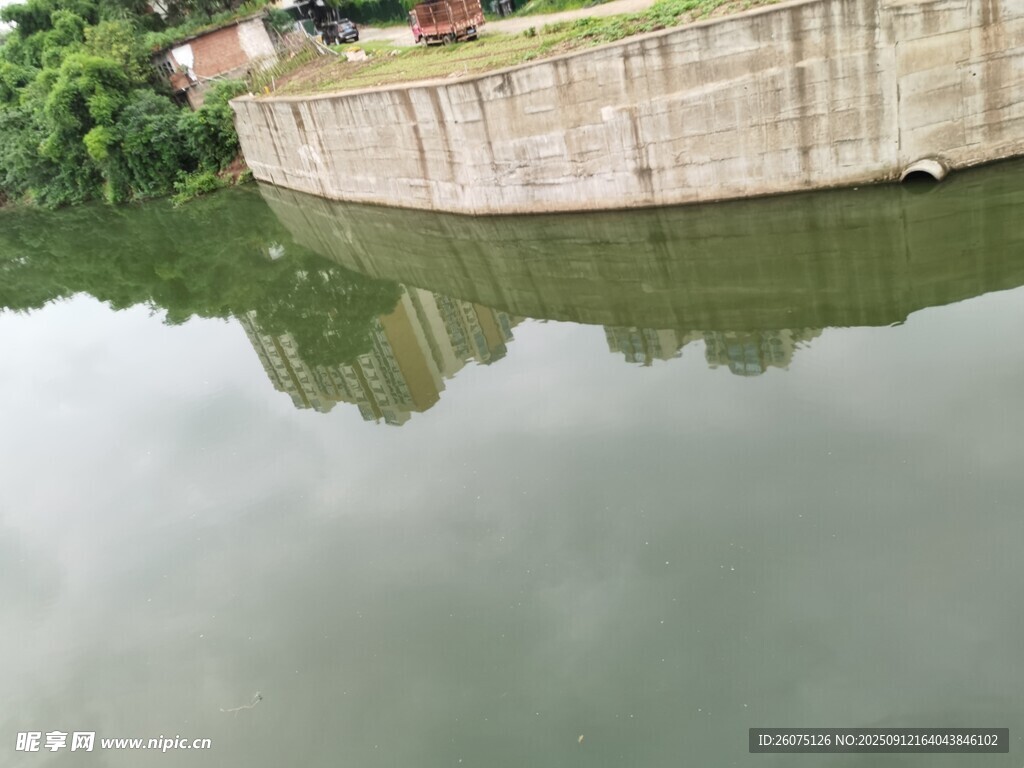 平静河水映岸边景致