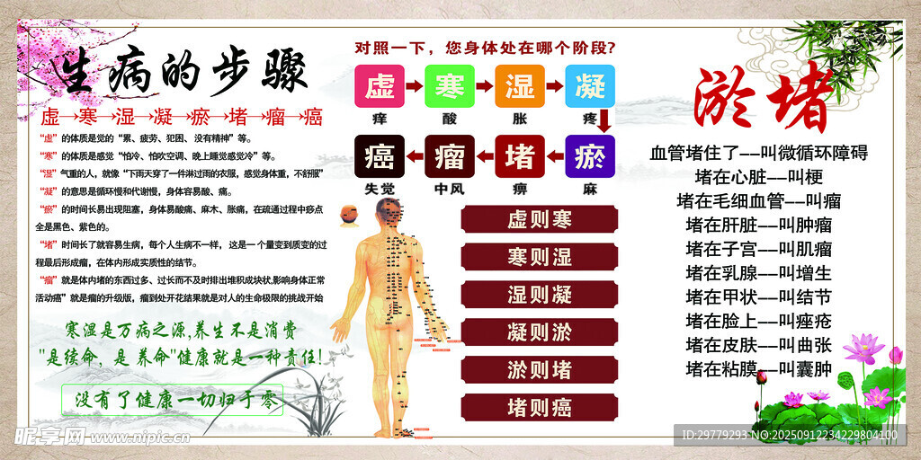 中医经络养生知识海报