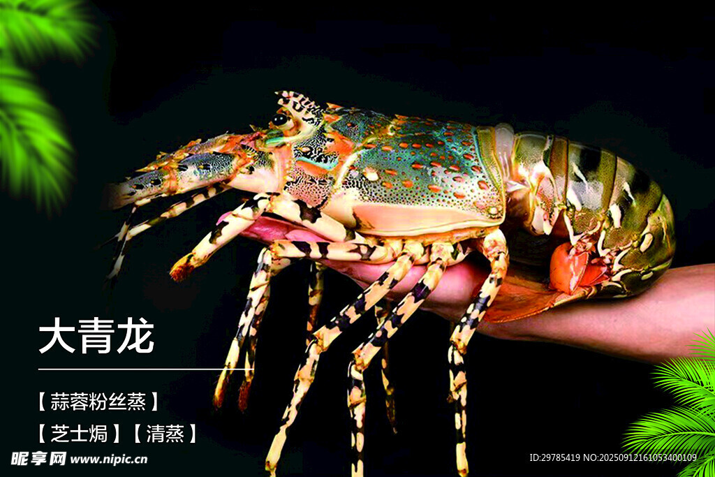 波士顿龙虾