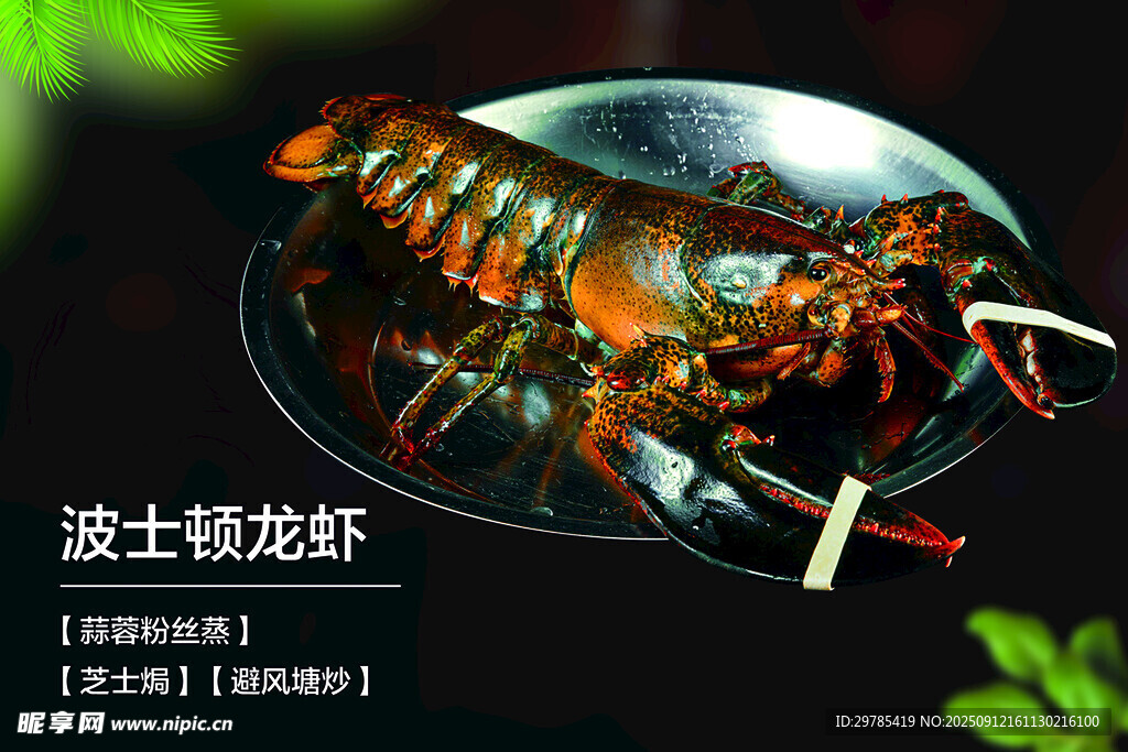 波士顿龙虾