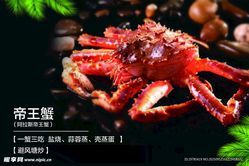 帝王蟹