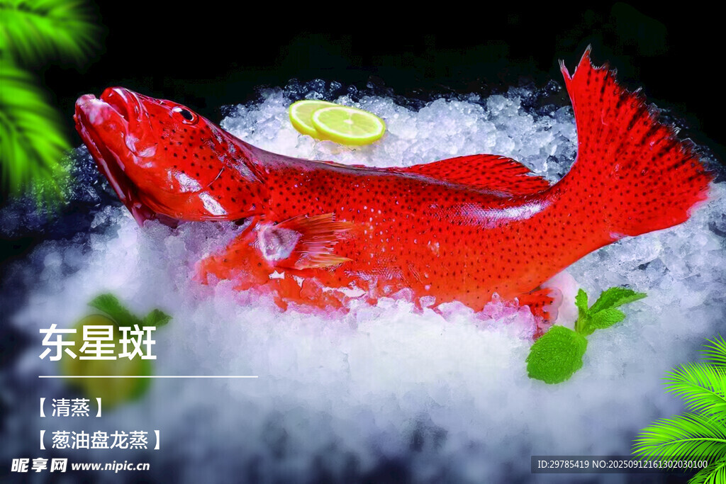 东星斑