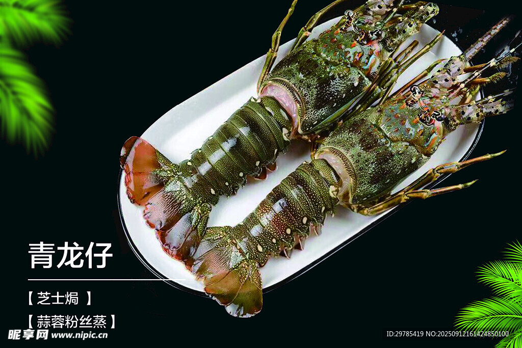 青龙仔