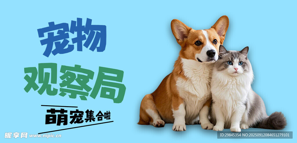 宠物观察局萌宠海报