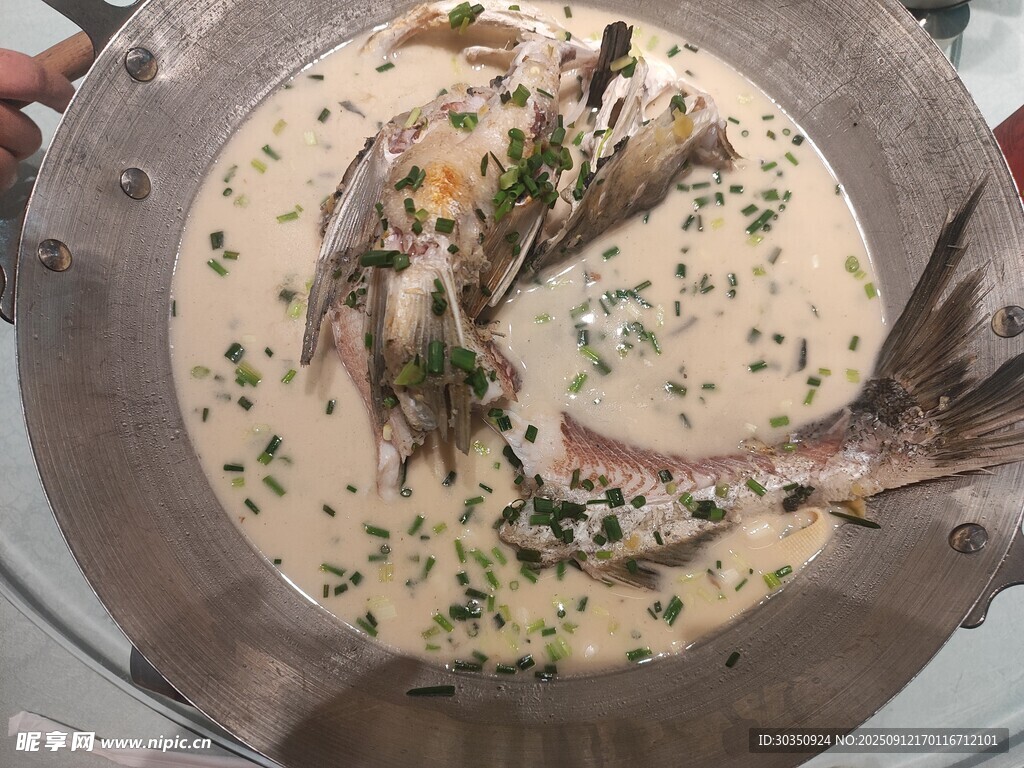 鱼鱼汤