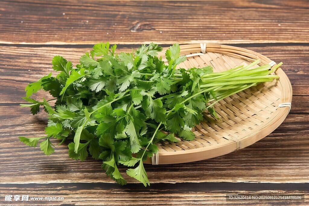 香菜