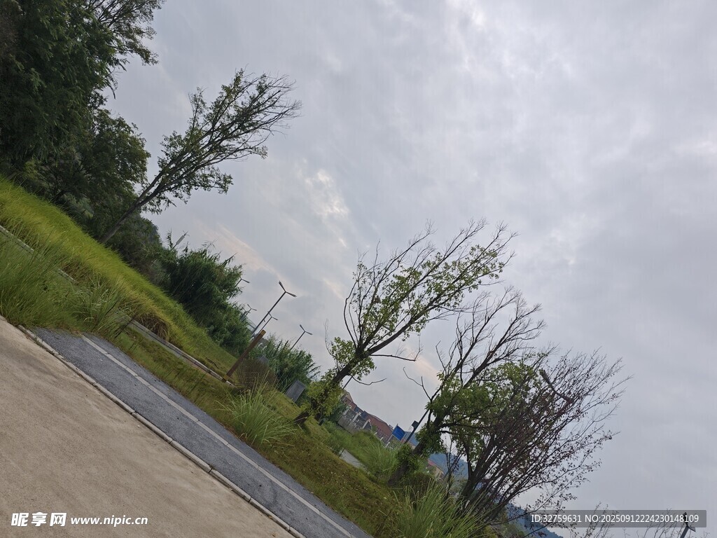 路边绿树与开阔天空景色
