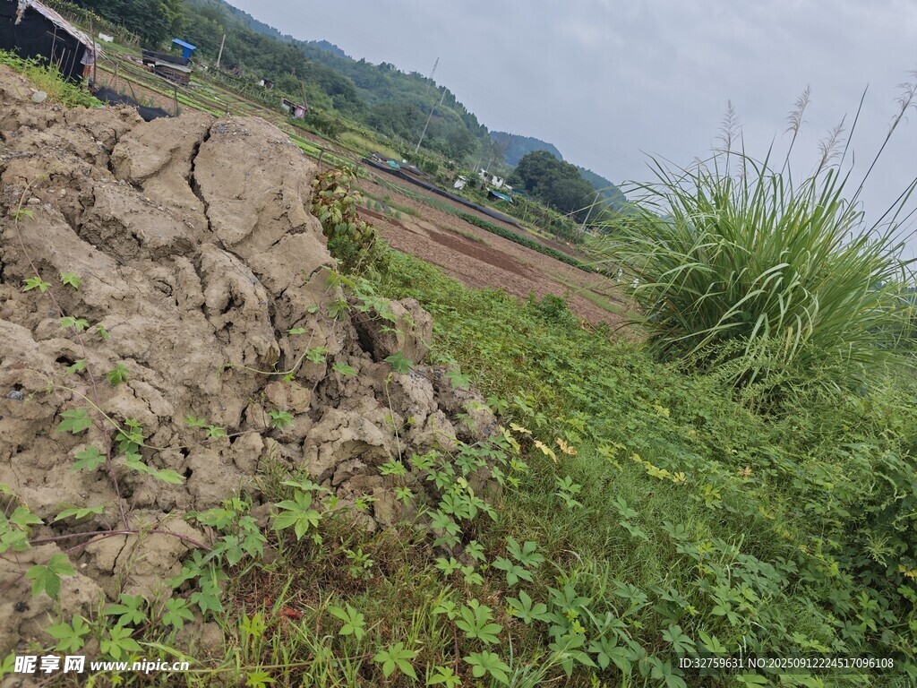 田野边的泥土与丛生野草
