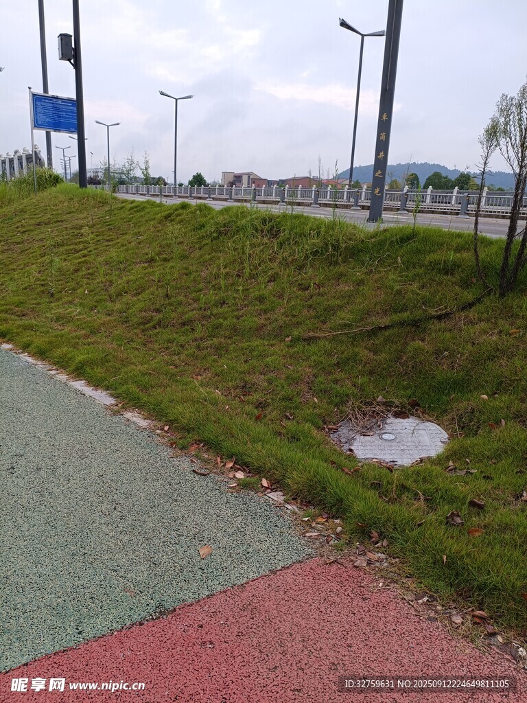城市路边的草地与积水