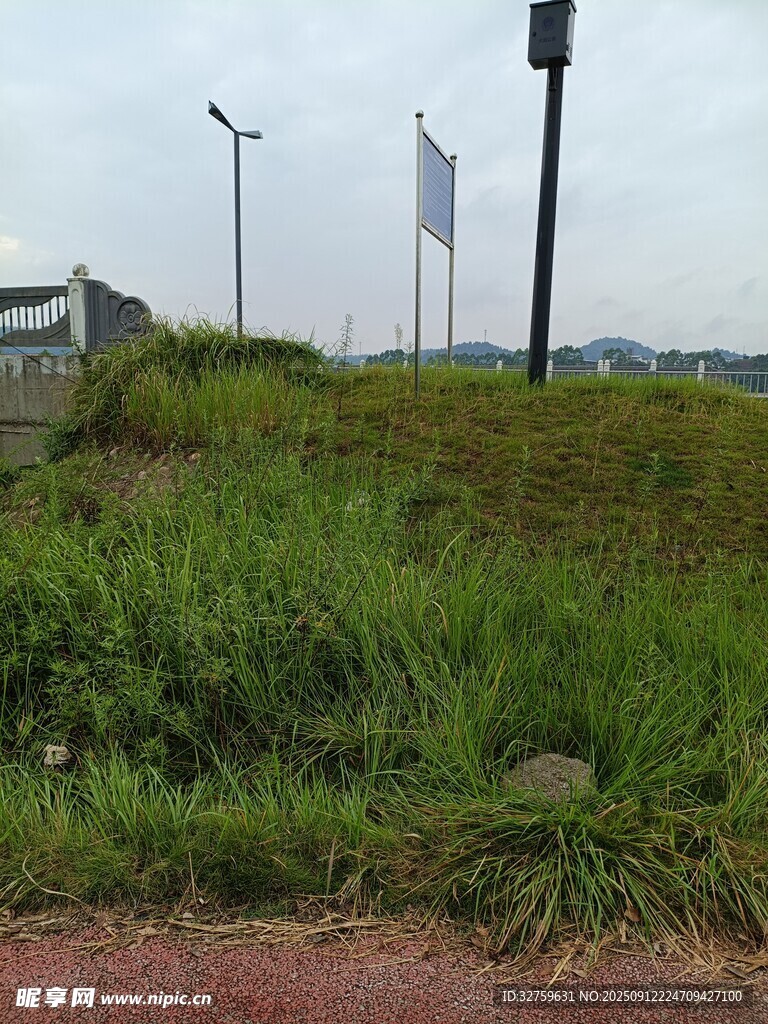 户外草地与远处建筑景观