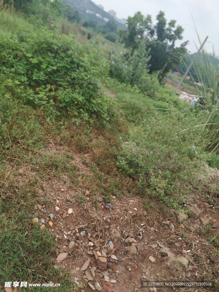 山间小径