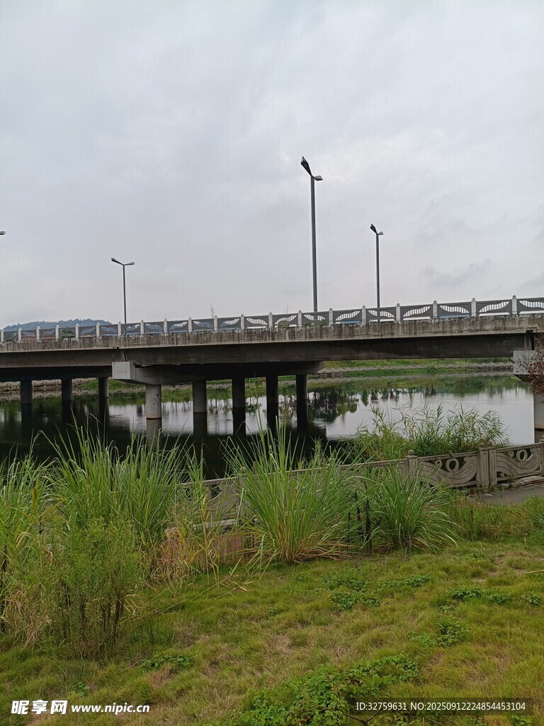 河畔桥梁与茂盛草木景观