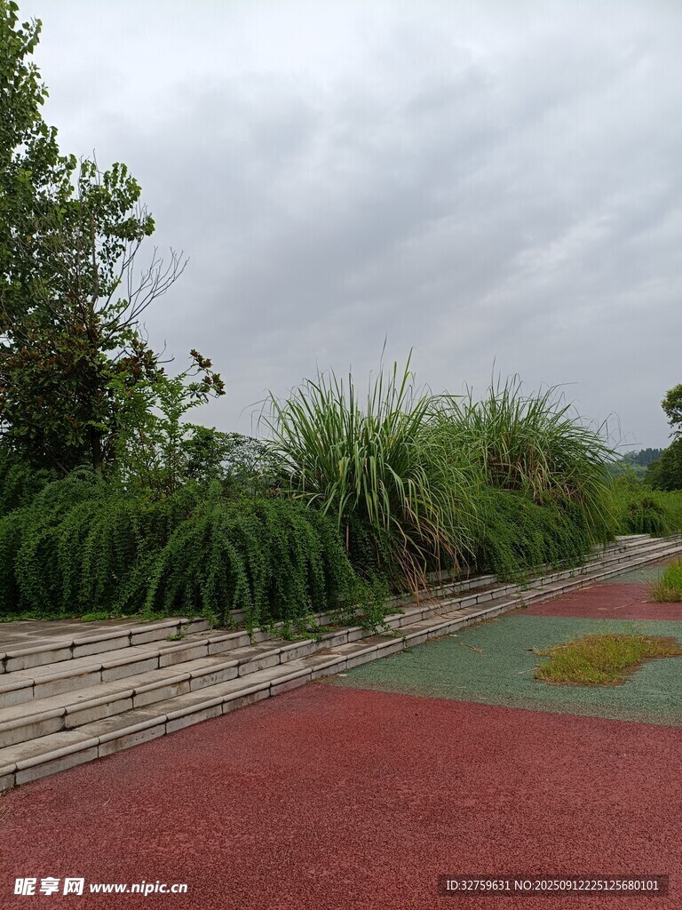 多彩步道旁的绿植景观