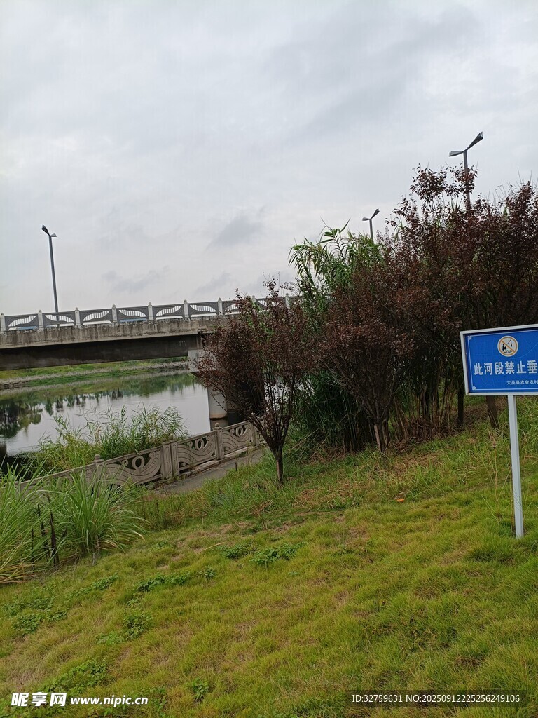 河边草地旁的蓝色指示牌