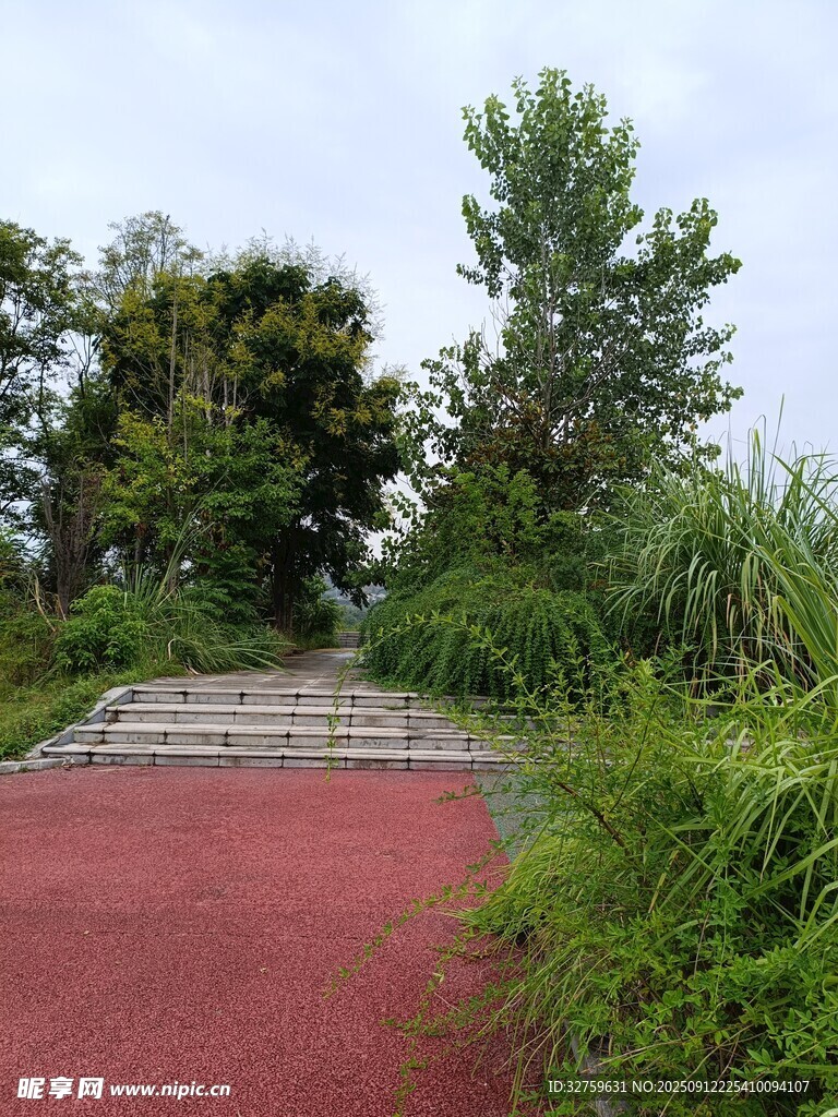 林间红径 