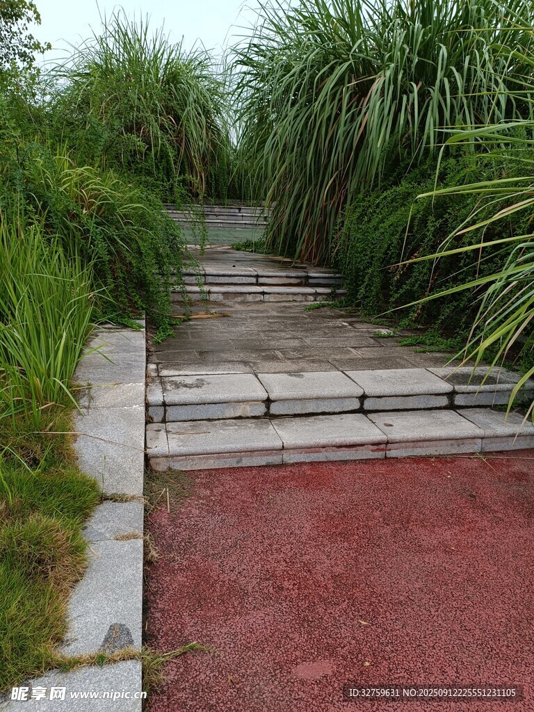 林间红径 