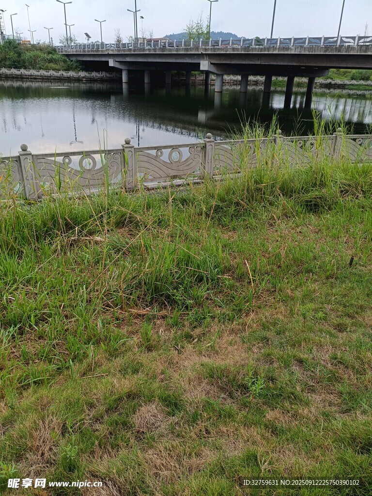 河畔草地与远处桥梁景观