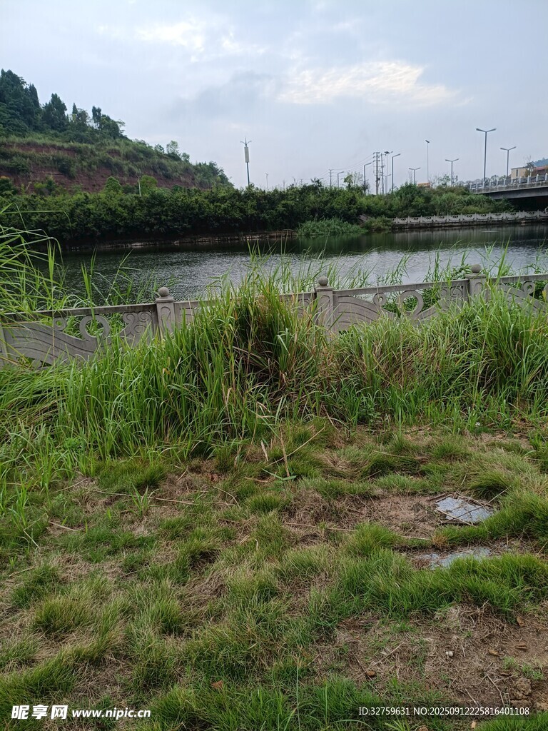 湖畔草地风光