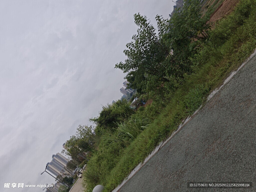 路边绿植景观