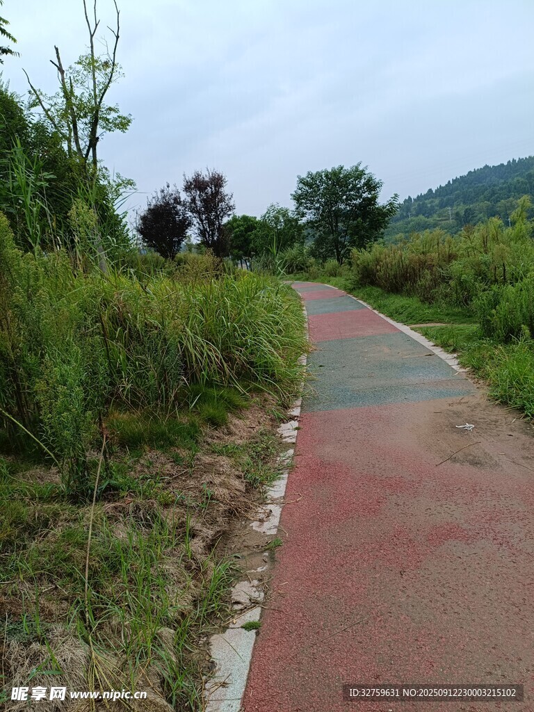 郊外红色步道与周边绿植