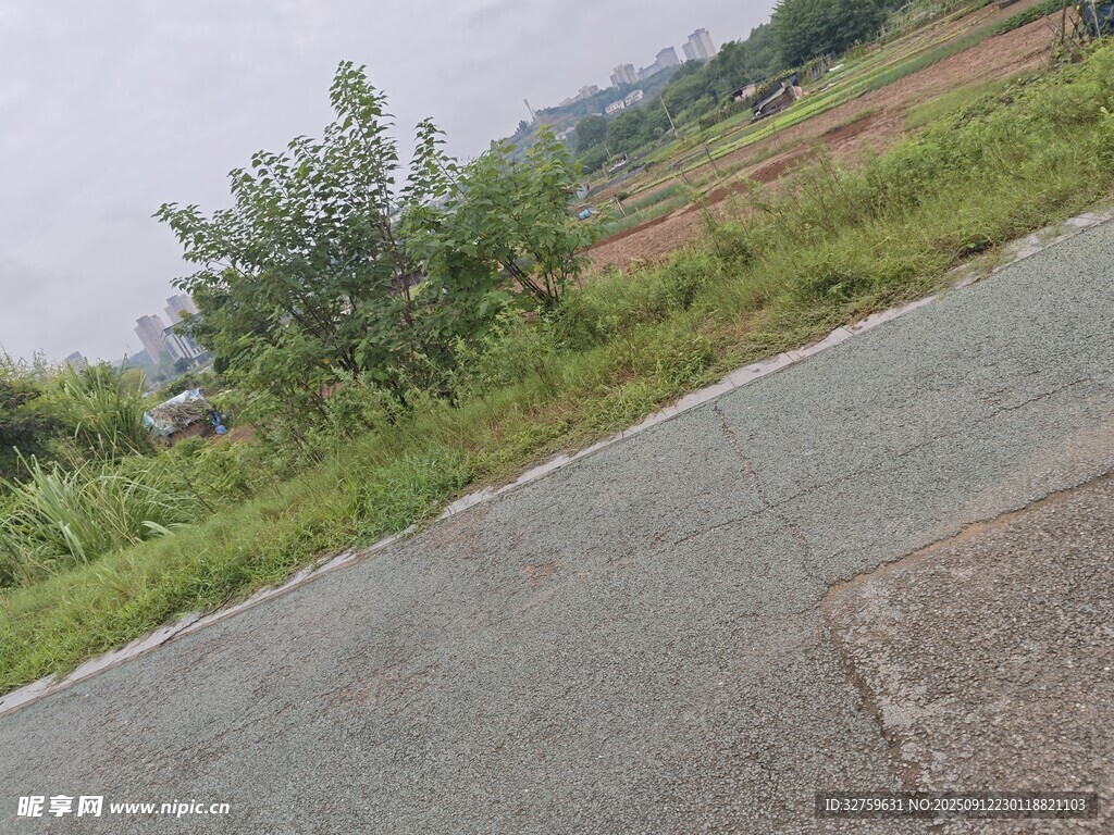 乡村路边景色