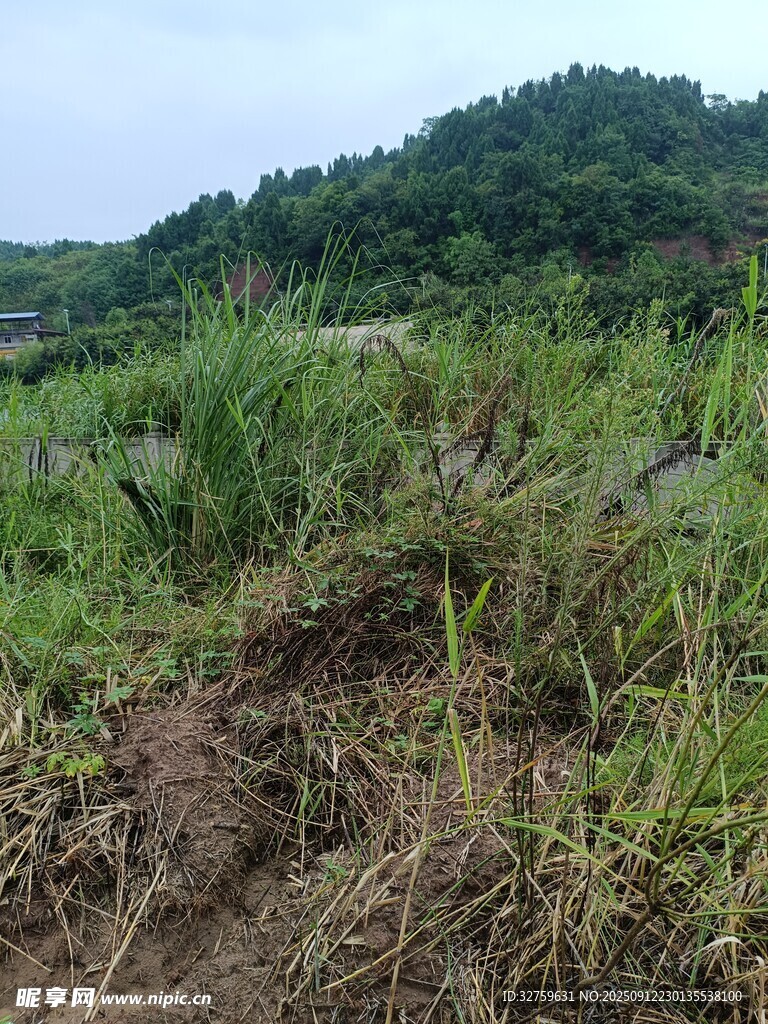 野外草地与山丘景观