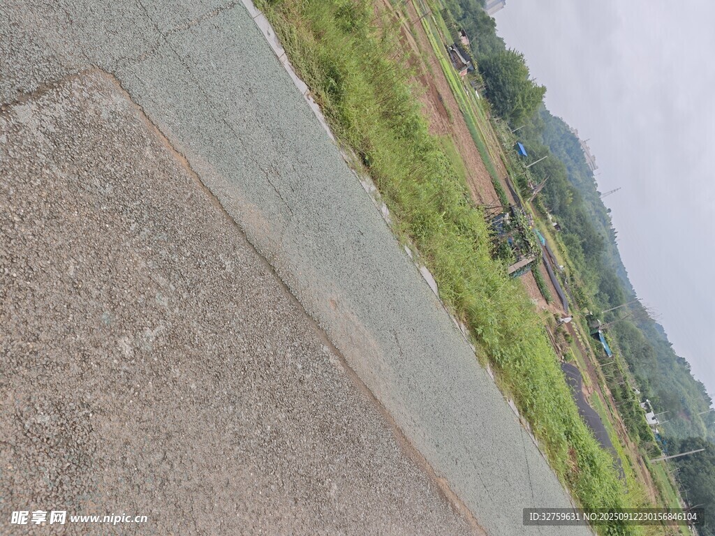 道路旁绿意盎然的自然景致