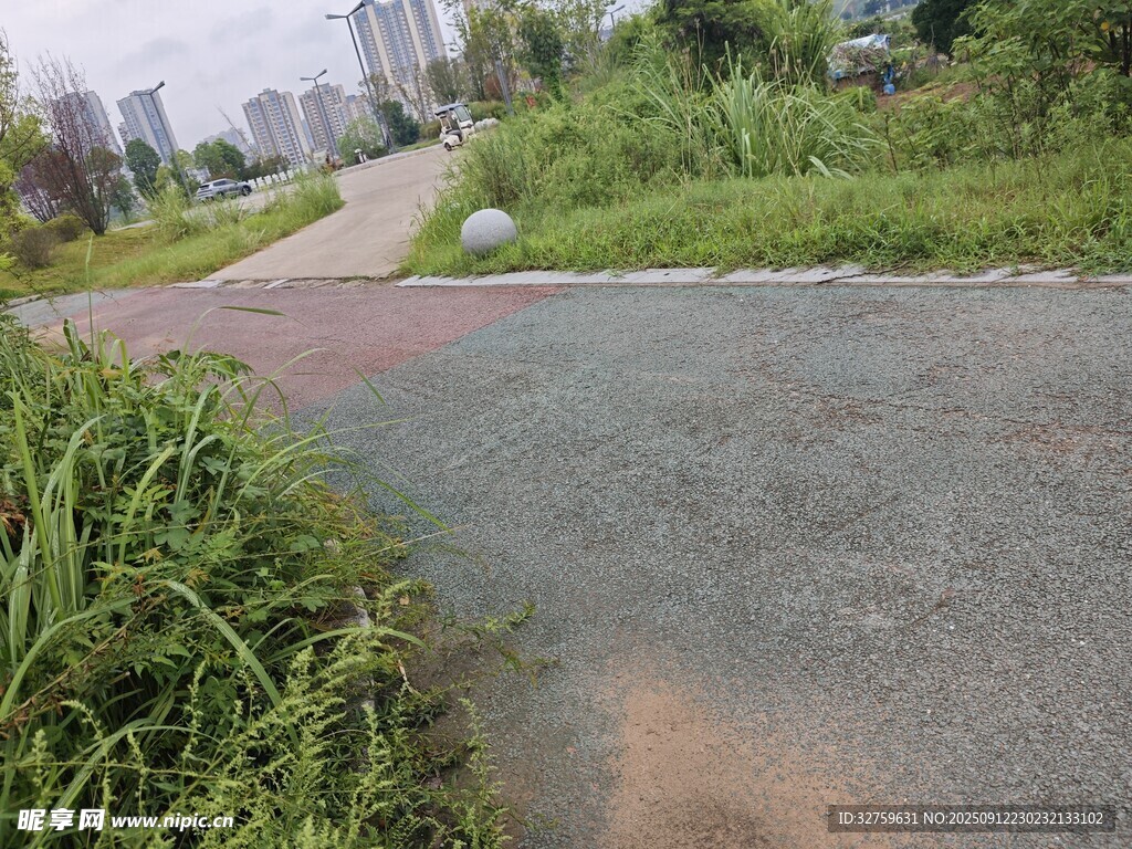 城郊小路旁的茂盛绿植