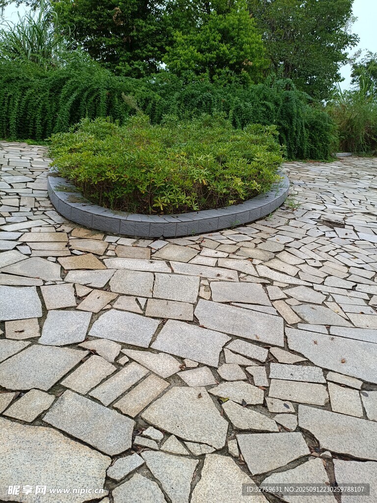 石砌小径旁的绿植景观